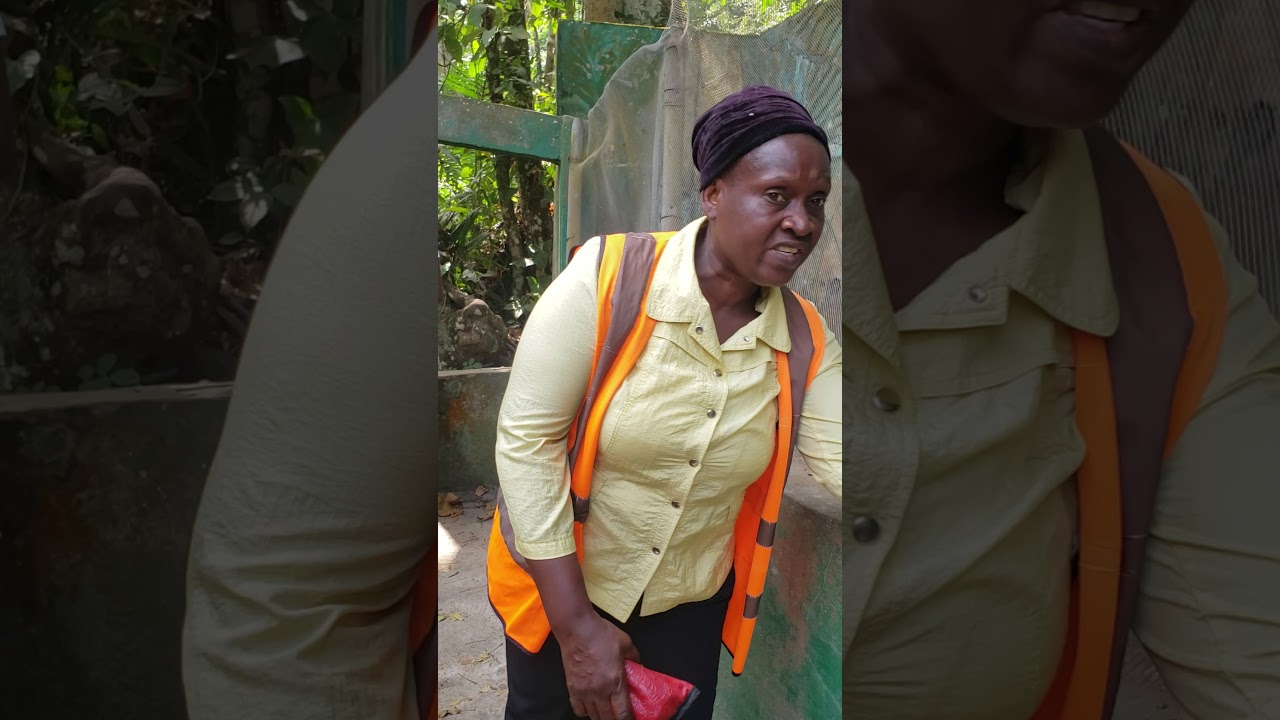 The story of Ikogosi