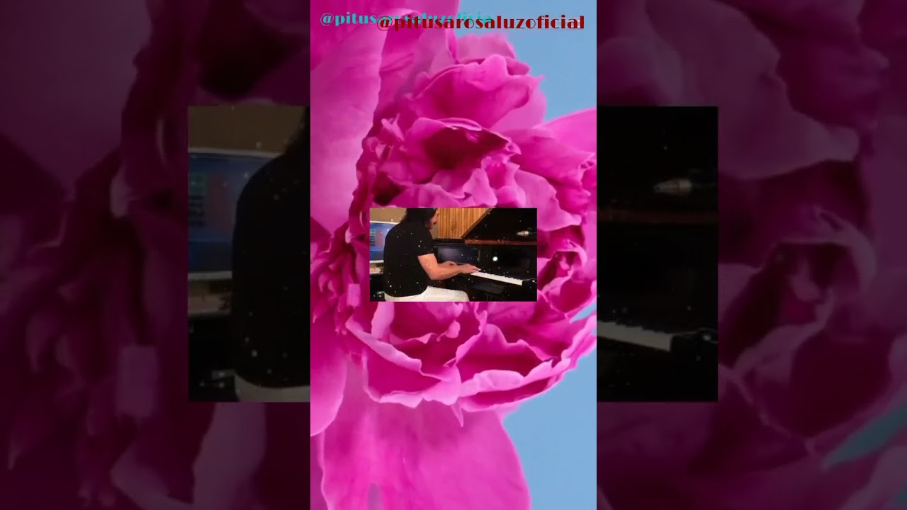 🎵 Music by Yanni Art by @pitusarosaluzoficial 