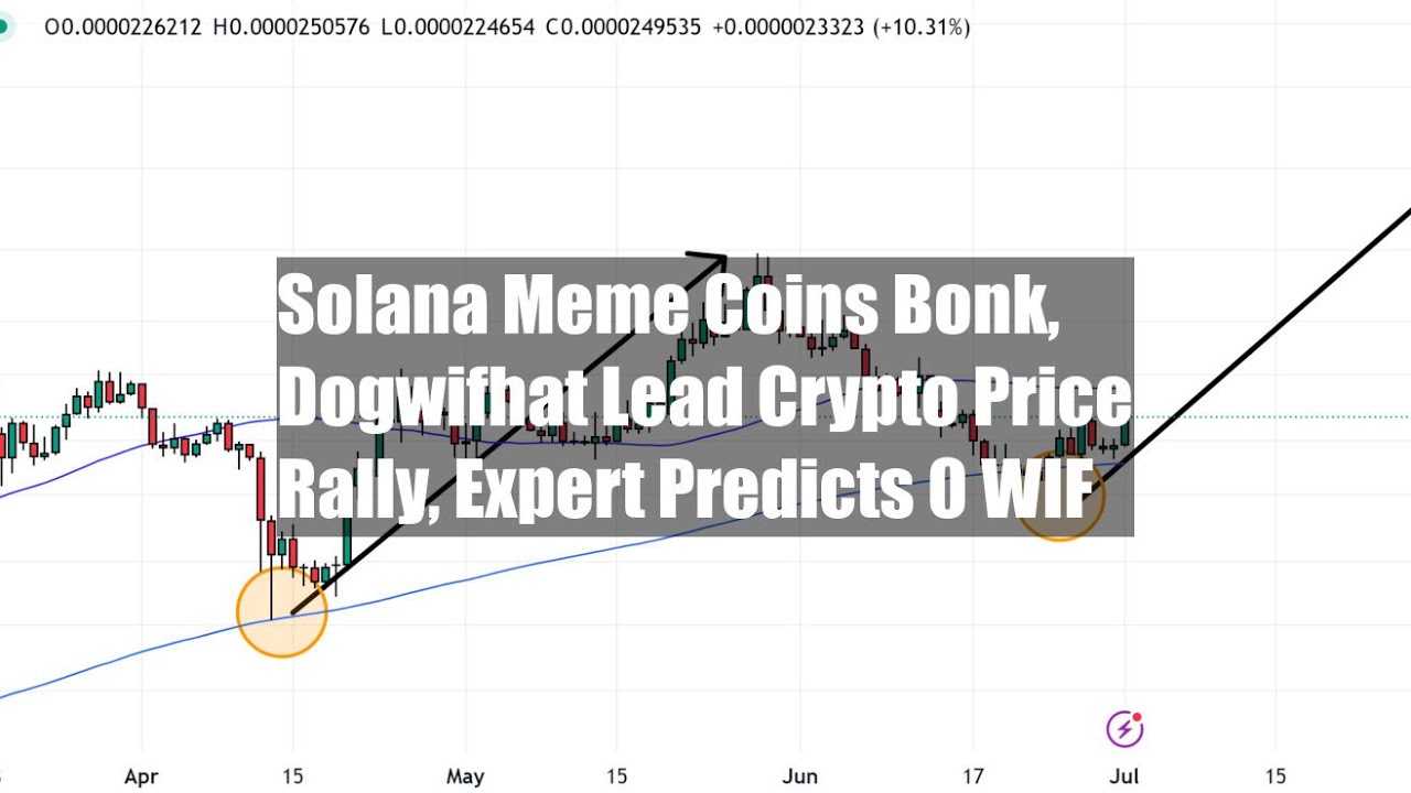 Solana Meme Coins Bonk, Dogwifhat Lead Crypto Price Rally, Expert
