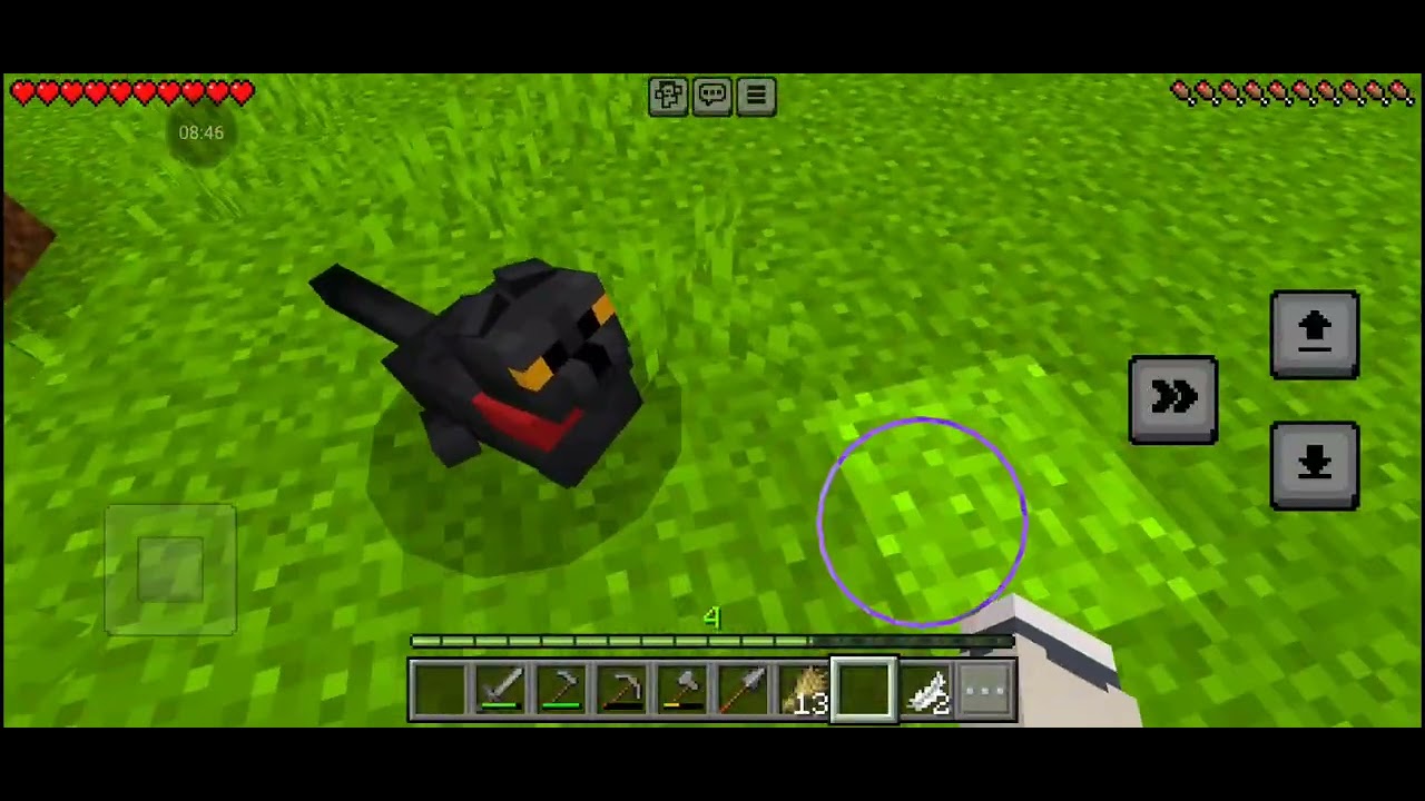 Mincraft Survival Ep 3  We found an Owl! 