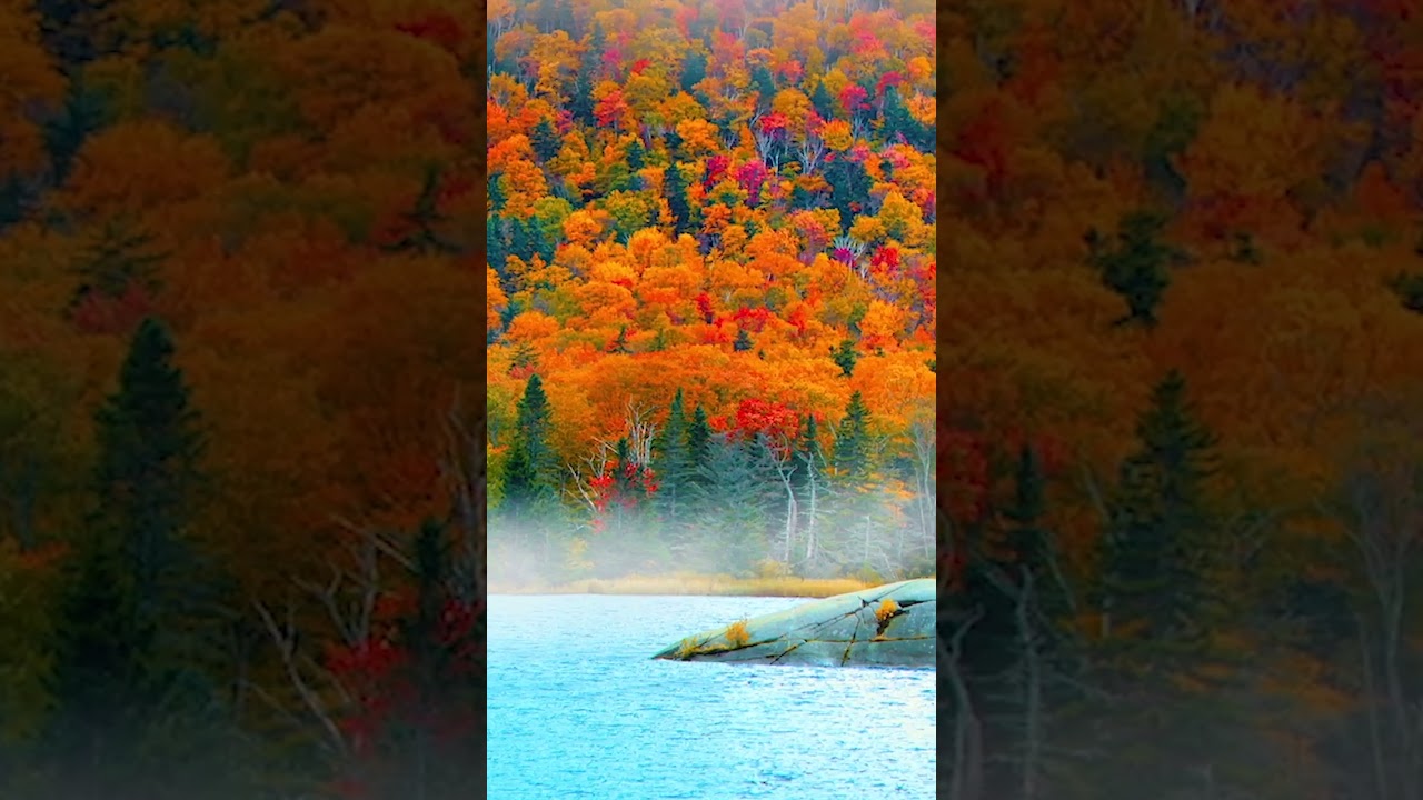 Autumn in New England 2023  #nature #autumn #newengland #soothingmusicforrelaxing  #relax