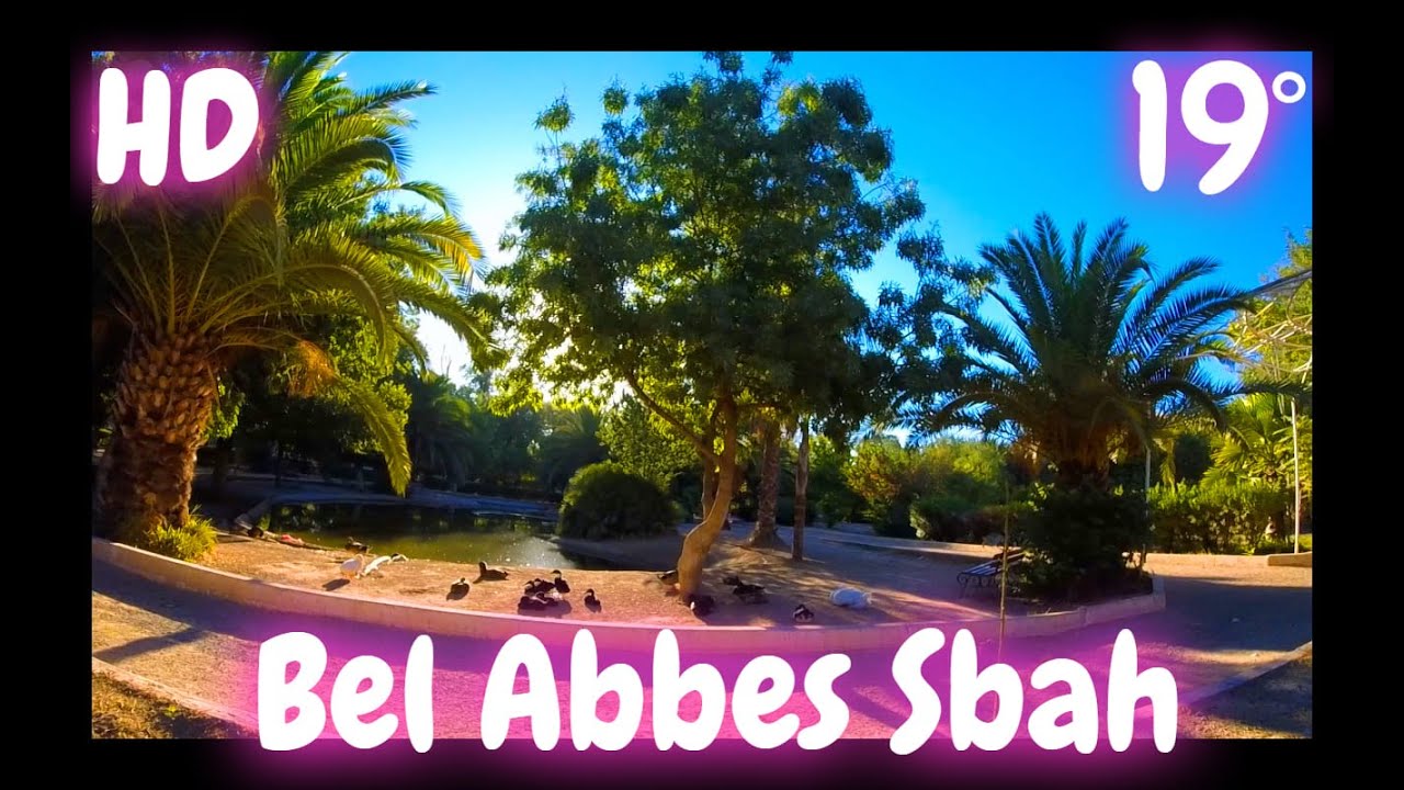 Jardin Sba7 Garden Le Matin  | Sidi Bel Abbes A Velo DZ HD   #سيدي_بلعباس #sidibelabbes