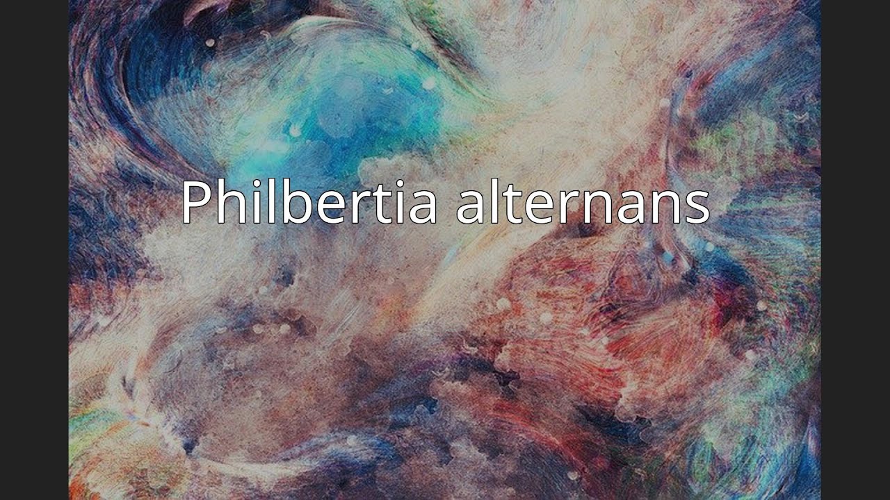 Philbertia alternans