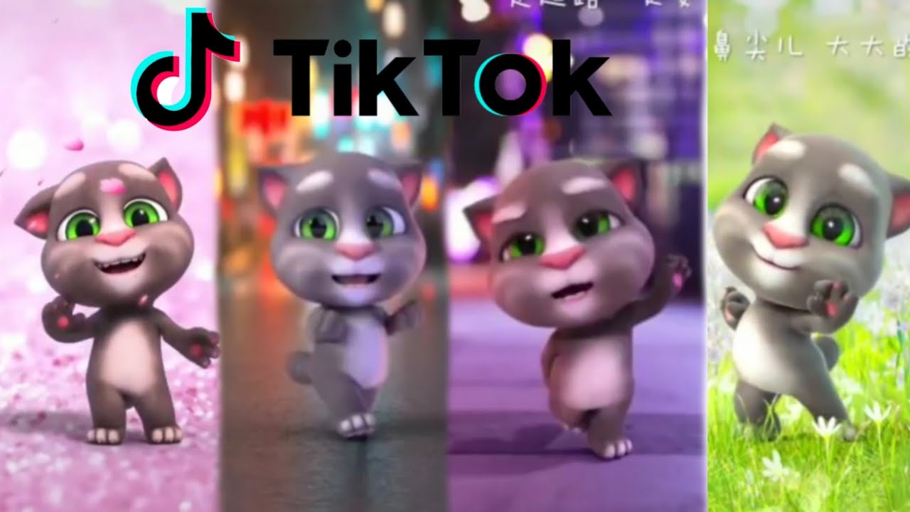 My talking tom, los tik tok de baile dance