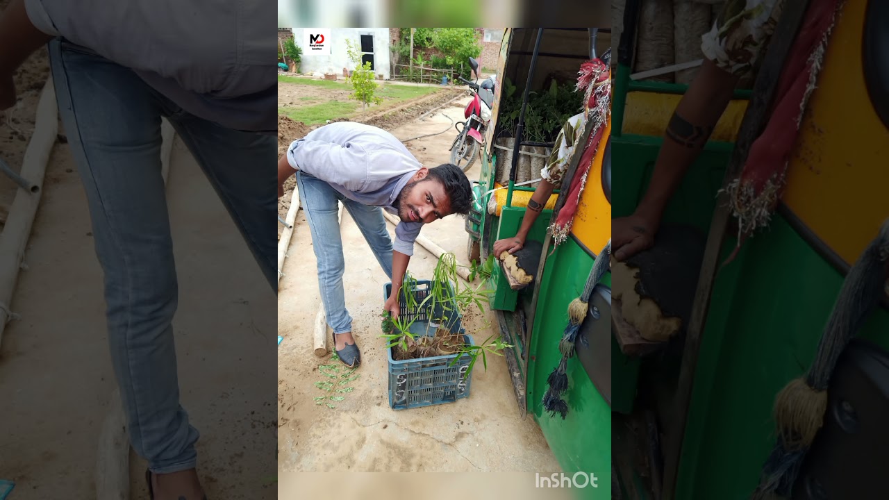 #environment #plants #plantation #green #news #rajasthan #campaign #youth #community #motivation