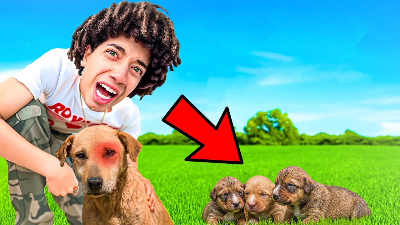 انقذت كلاب وامهم من الهلاك 🥹💔 ( حمو ايهاب بيجر شكلى 😡 )