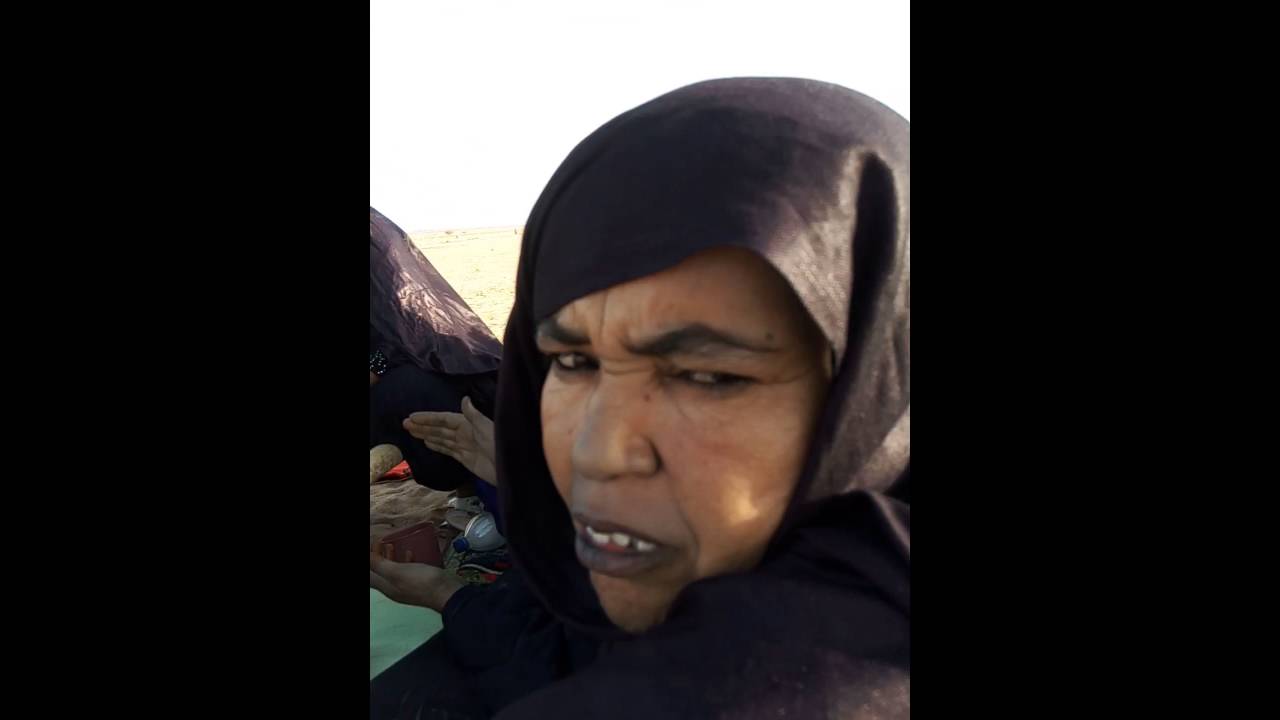 مهرجان سباق الجمال عين قزام