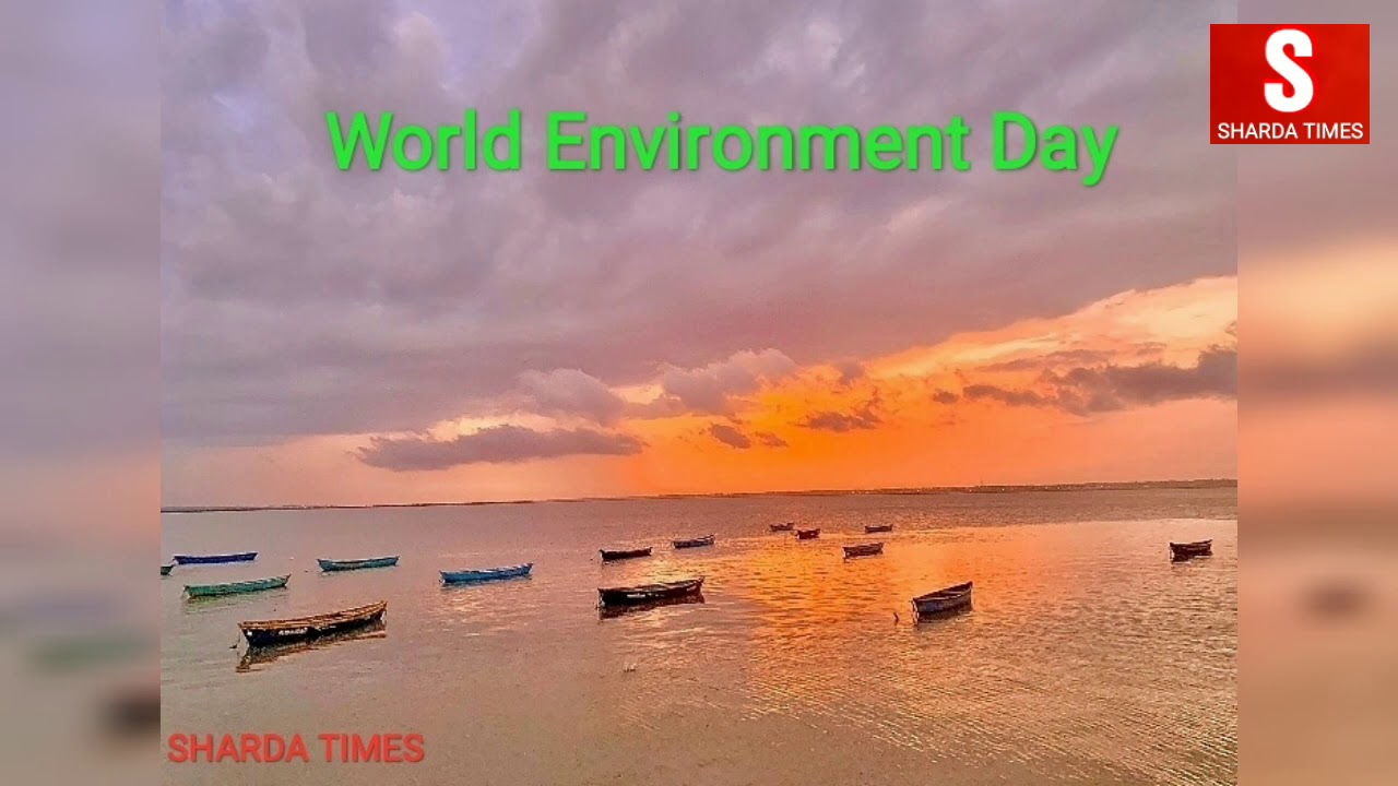 World Environment Day 2020 - Sharda Times