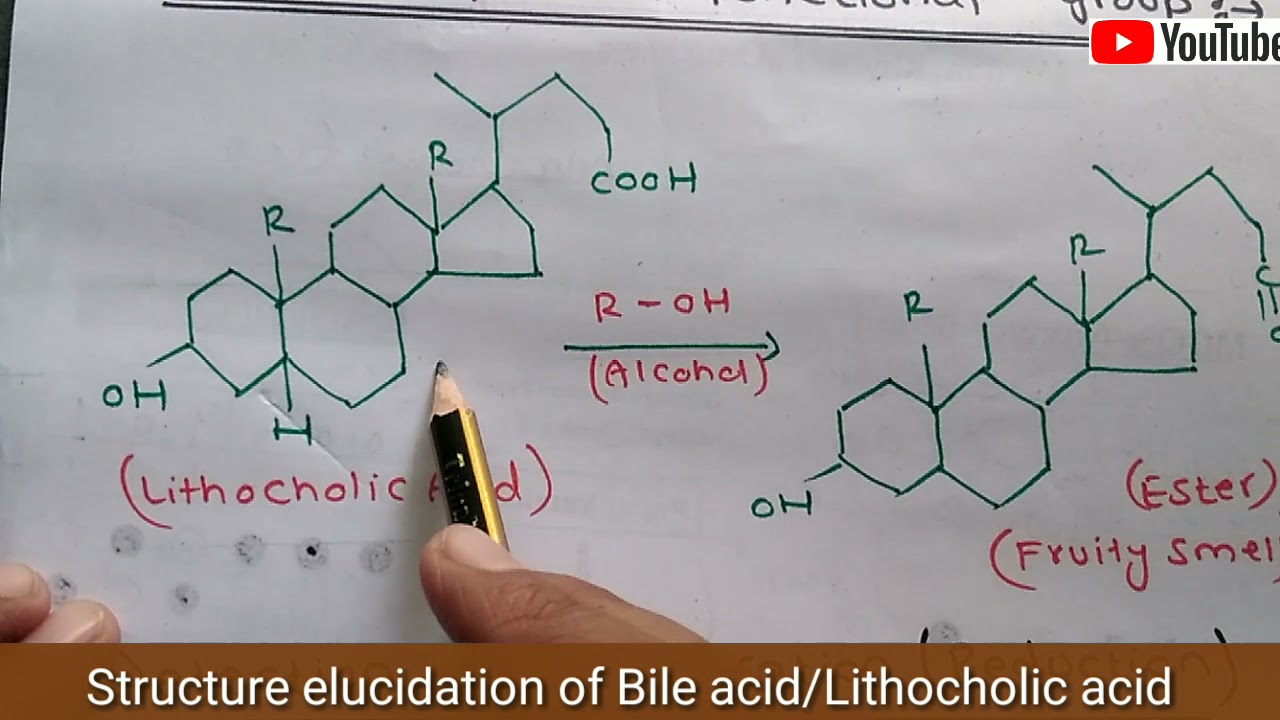 Structure elucidation of Bile acid/Lithocholic acid||Lecture-9