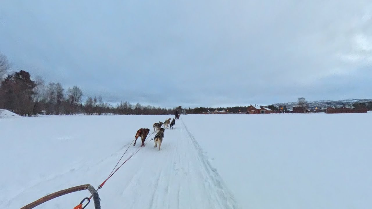 Husky ride at Holmen Huskies Alta 2025