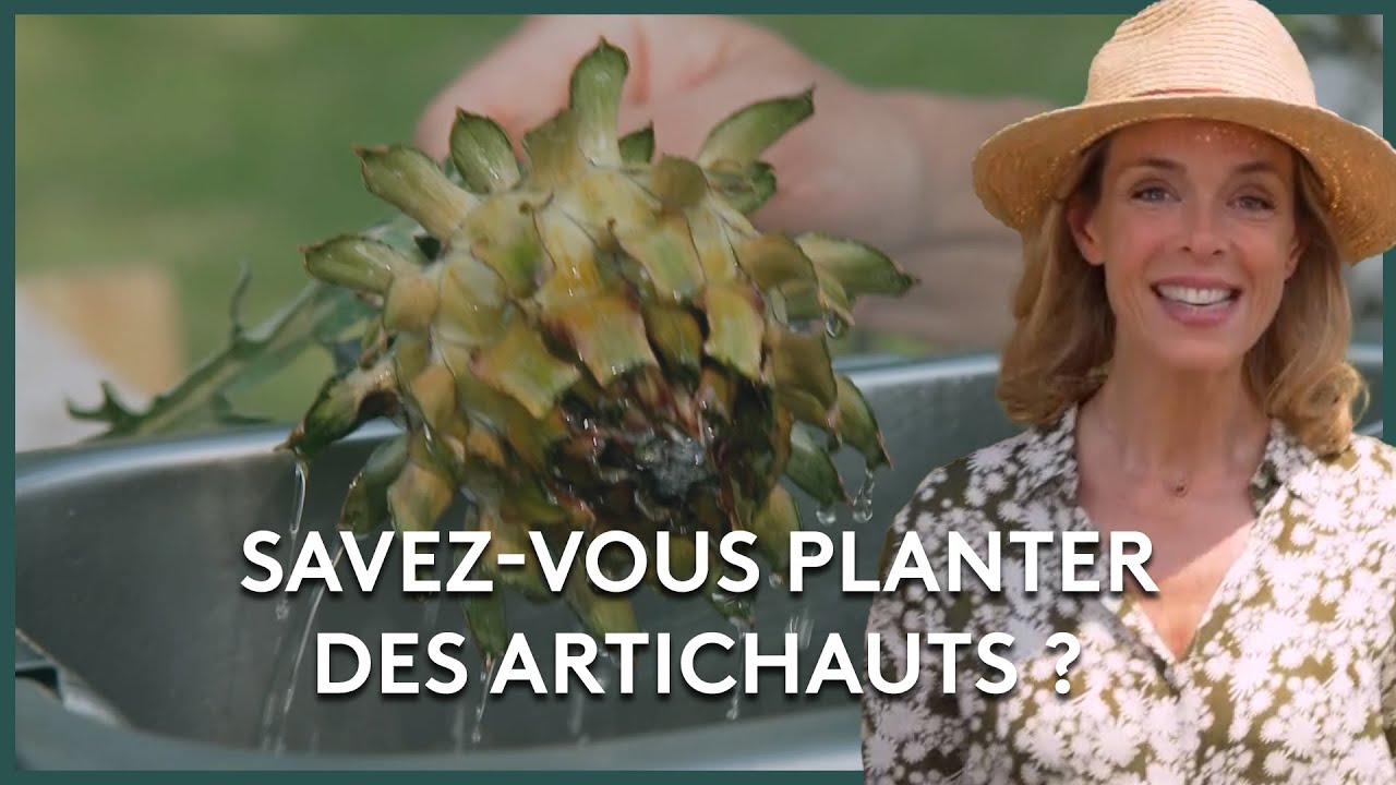 Le potager fleuri breton - Les potagers de Julie