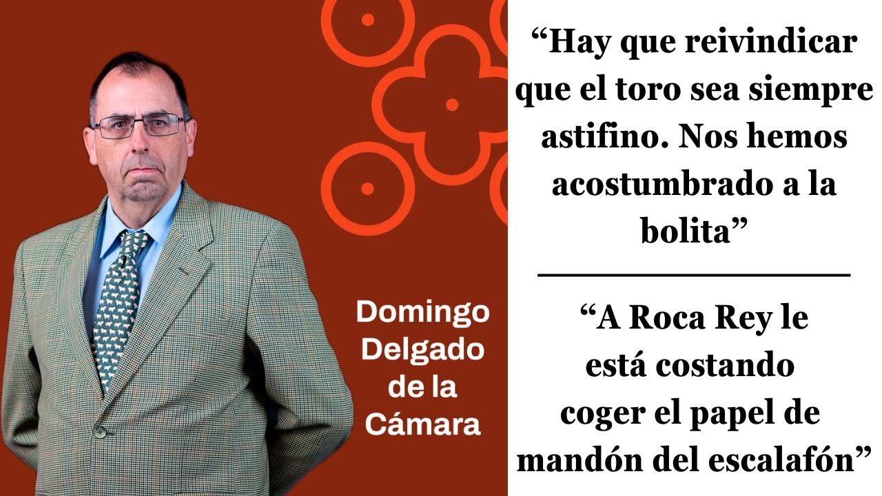 Domingo Delgado de la Cámara: 