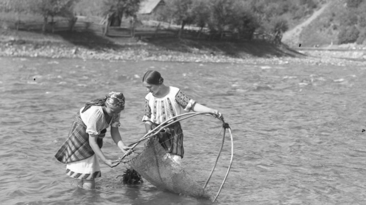 Plutăritul &icirc;n Bucovina   - istoric