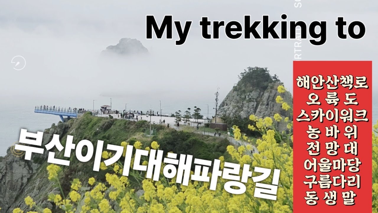 부산하면 이기대 해안산책로 아이가ㅣ해파랑길 오륙도스카이워크-농바위-어울마당-동생말 4.6km 트레킹 Busan Igidae Coastal Walking Trail #4k #여행