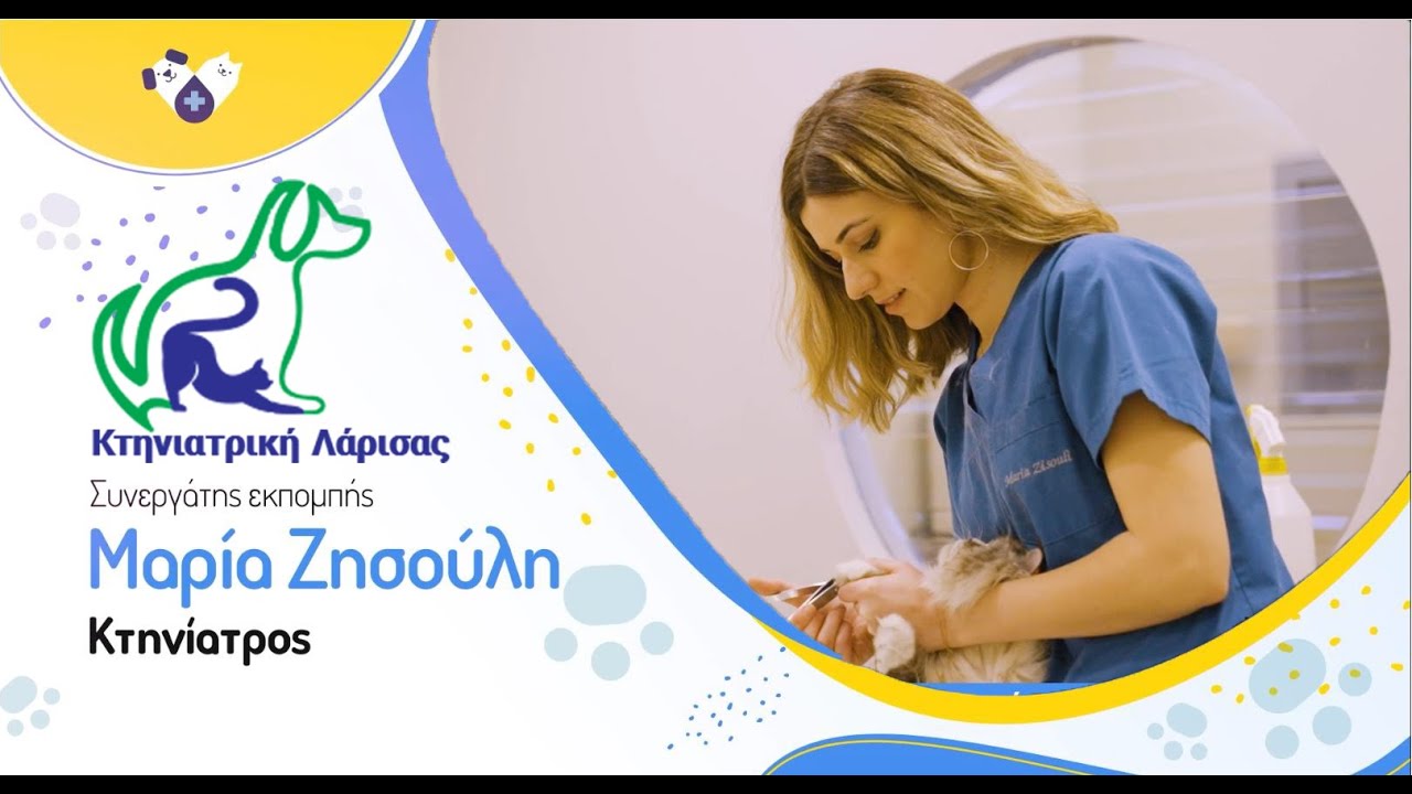 Αδέσποτα νεογέννητα γατάκια : Μαρία Ζησούλη Κτηνίατρος