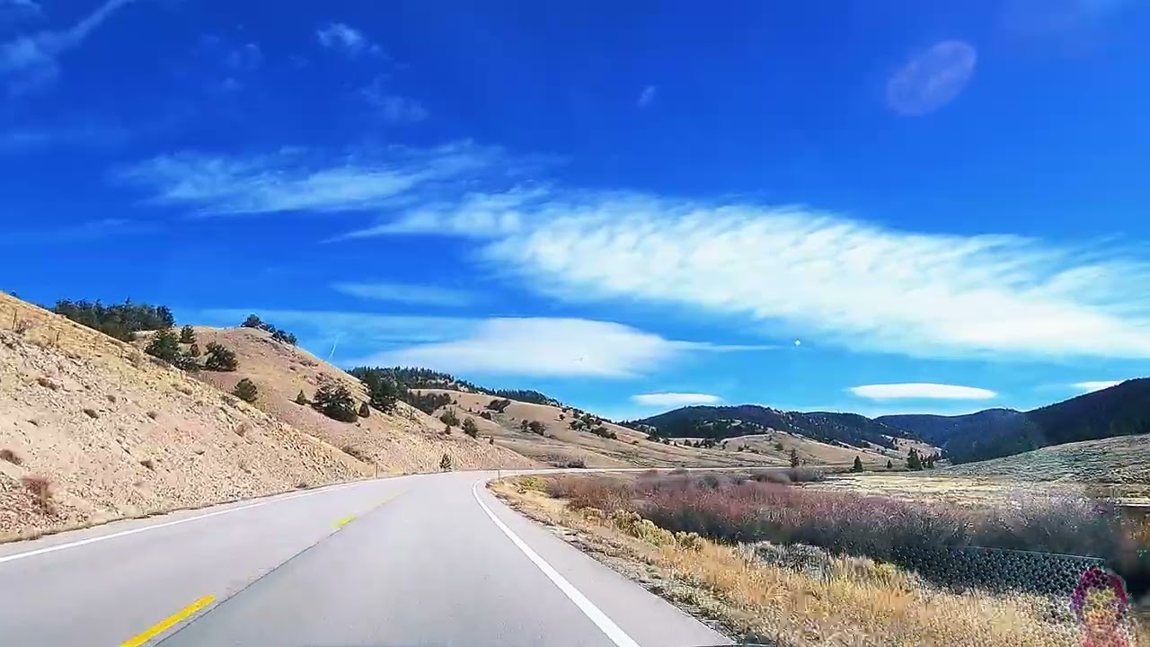 Driving Colorado State Highway 114 through Gunnison National Forest 🌲🚗