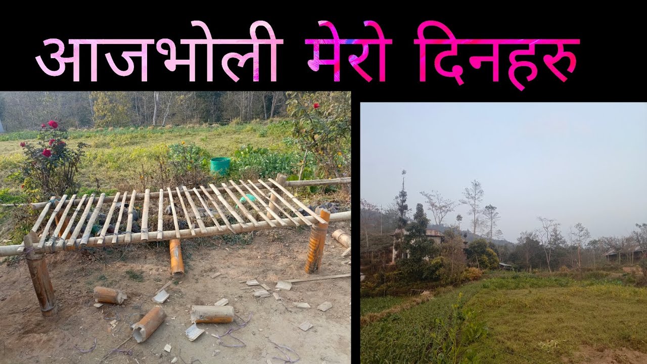 मेरो दिनहरु आजभोली ब्यस्ततामा बित्दैछ्😌#pakhribas #villagelife 