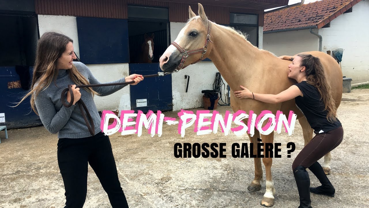 Demi-pension, grosse gal&egrave;re !? 🤔 I Georgette ou Taxi ?
