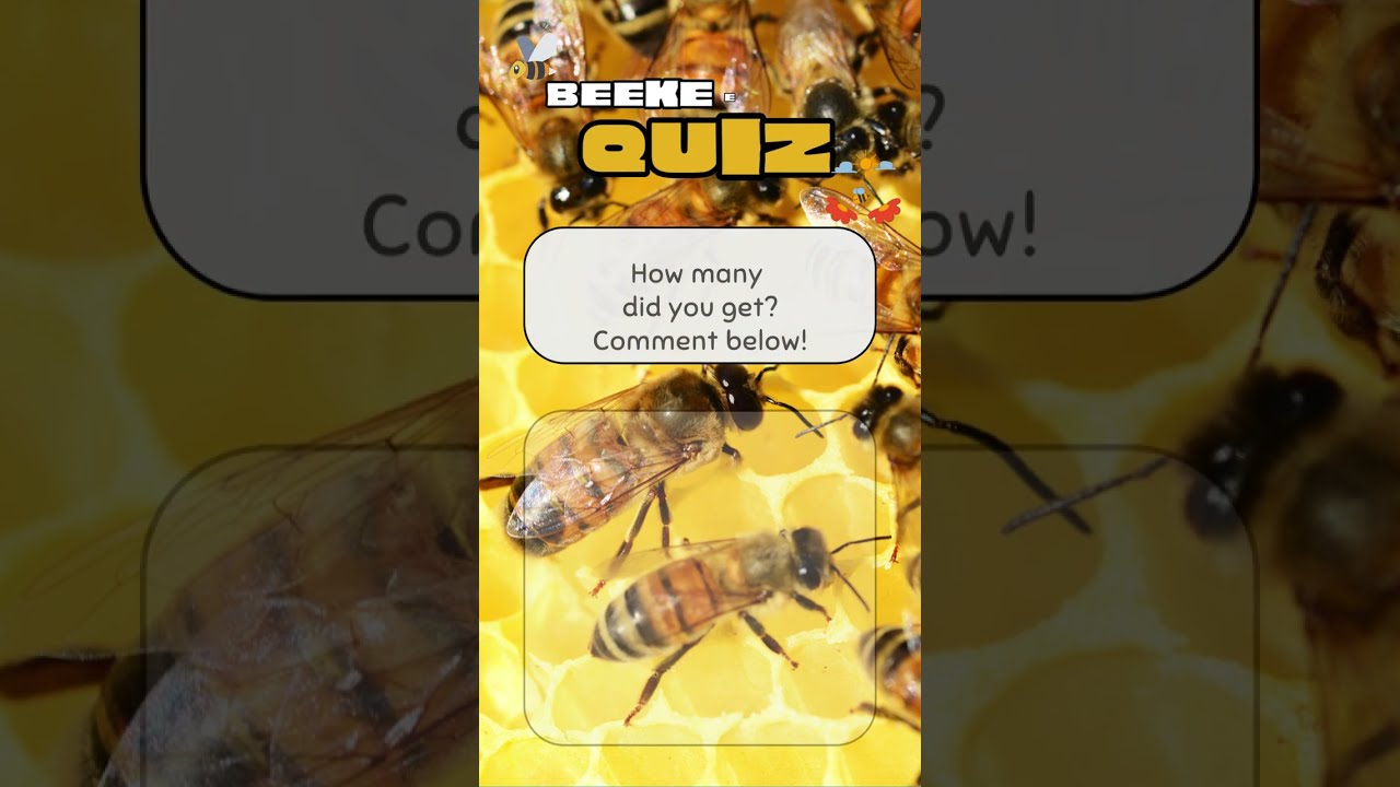 Advanced Beekeeping Quiz - Test Your Knowledge! 🐝🍯
