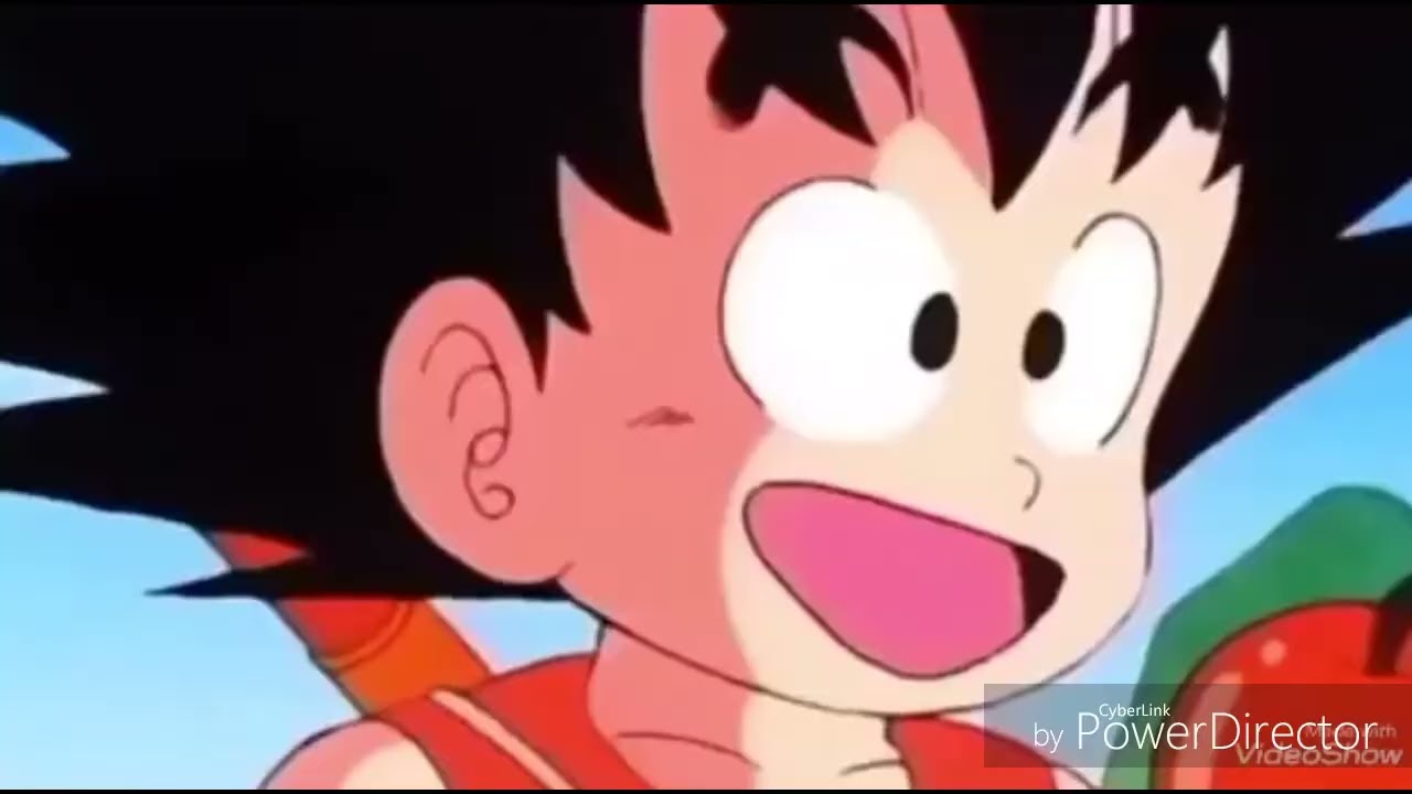 Goku X Chi Chi (End Of Th Day)