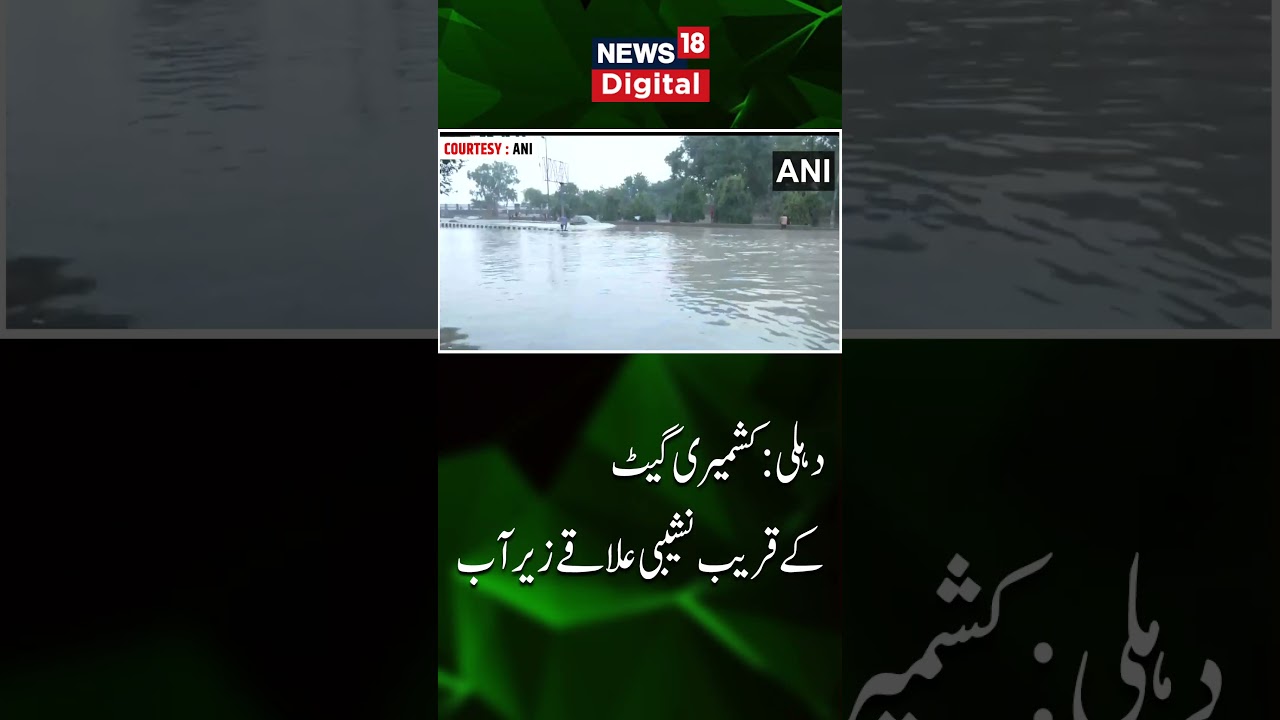 Watch :دہلی:  کشمیری گیٹ کے قریب نشیبی علاقے زیر آب | Flood | Jamna | Old Delhi | News18 Urdu
