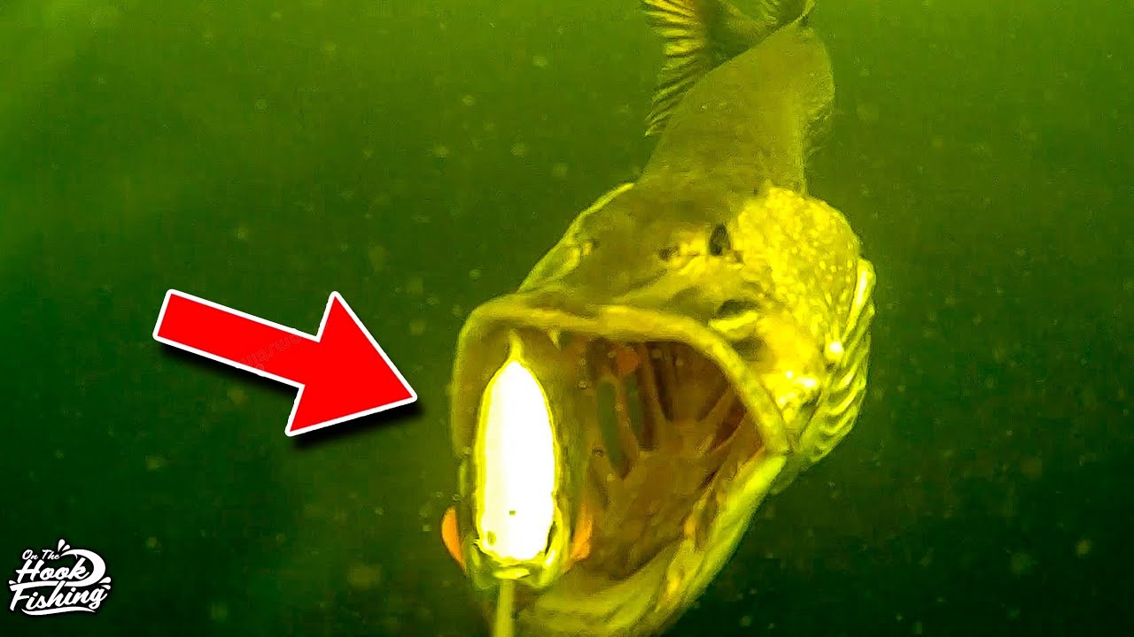 Epic Underwater Pike Strikes - See How they Take the Bait