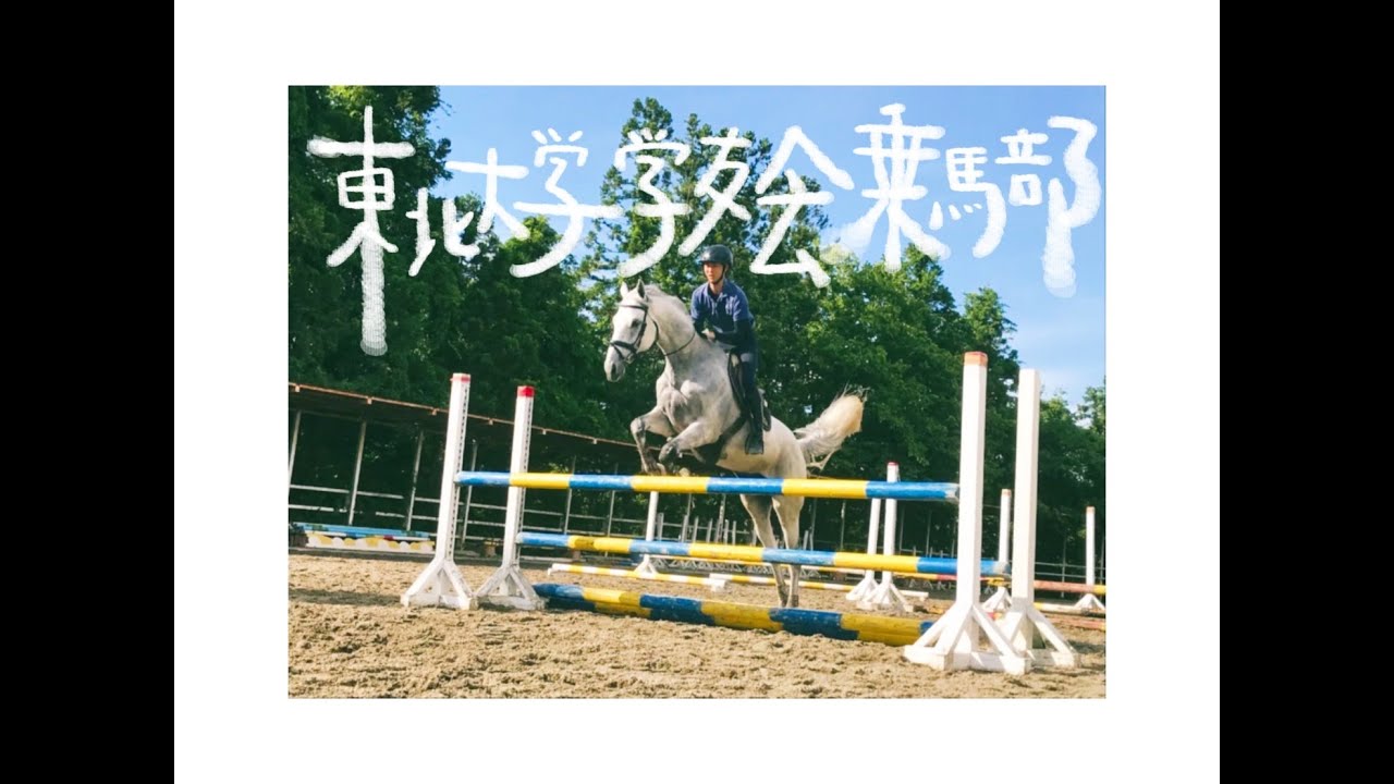 【東北大学乗馬部】新歓PV2023