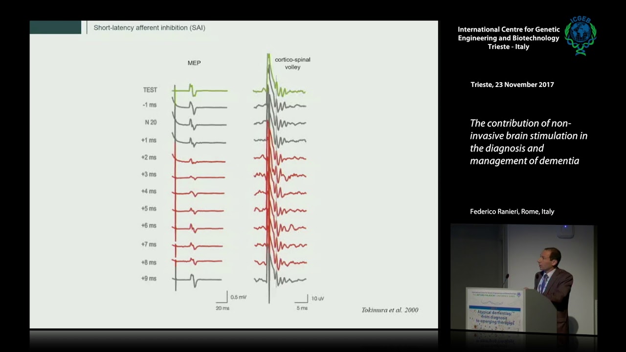 F. Ranieri - The contribution of non-invasive brain stimulation ....