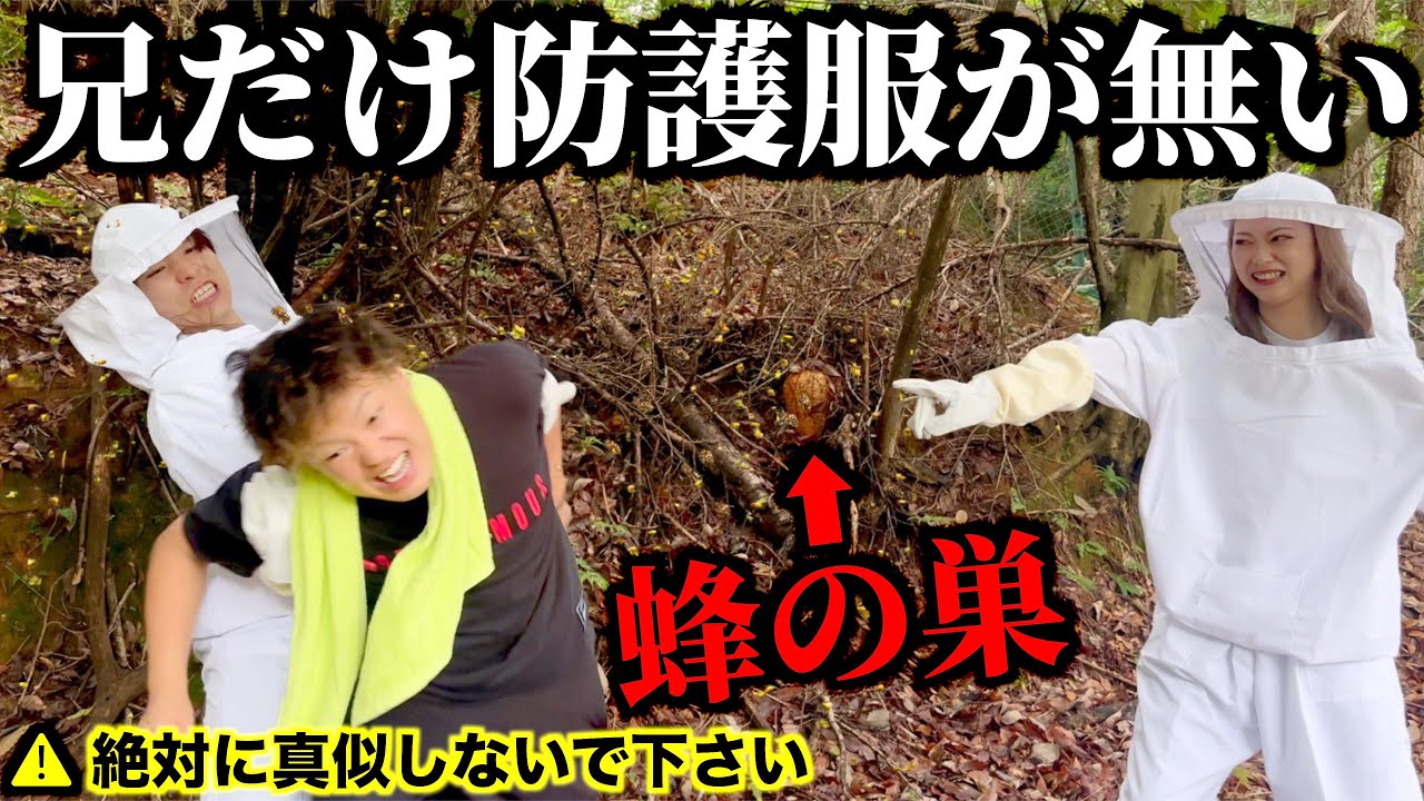 蜂の巣駆除で兄だけ防護服無しで行かせてみた。