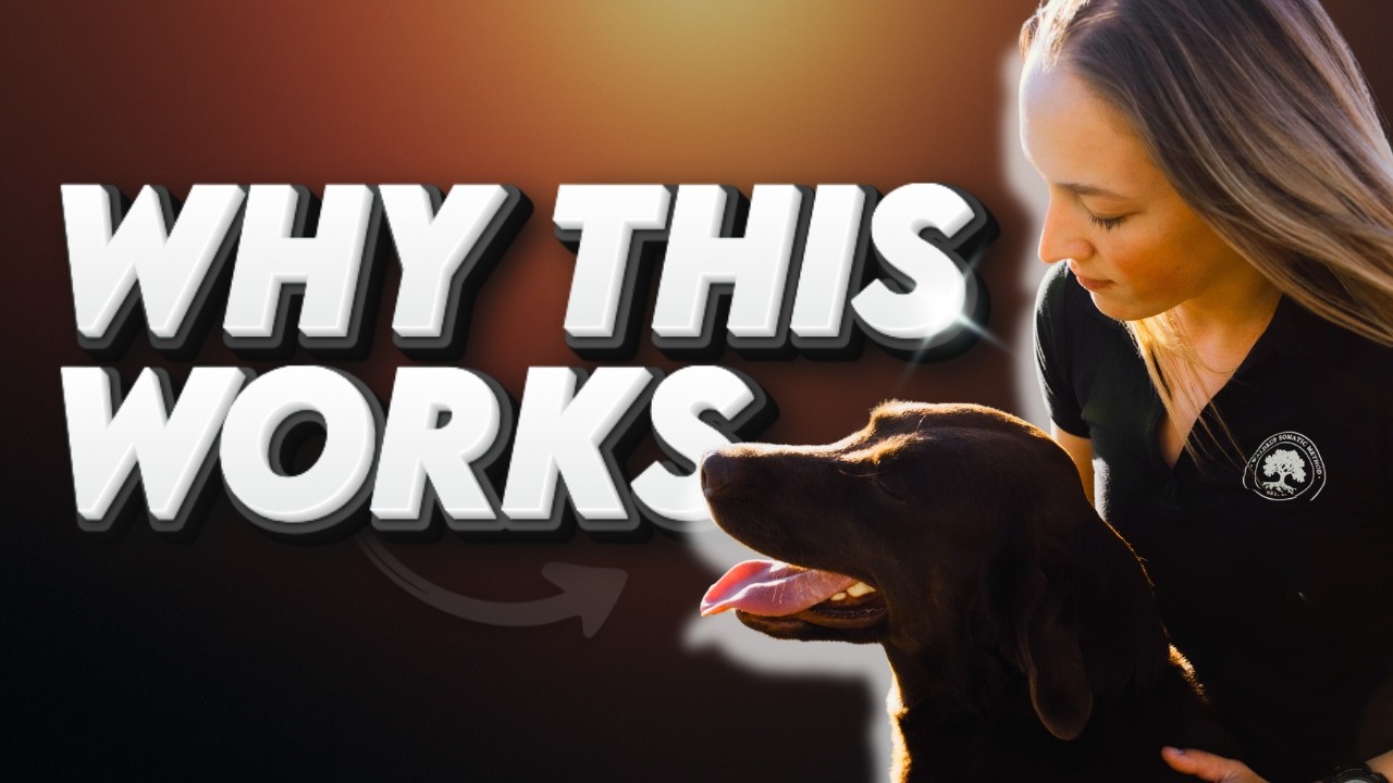 The Lost Language of Your Dog’s Nervous System | Waldrup Somatic Method