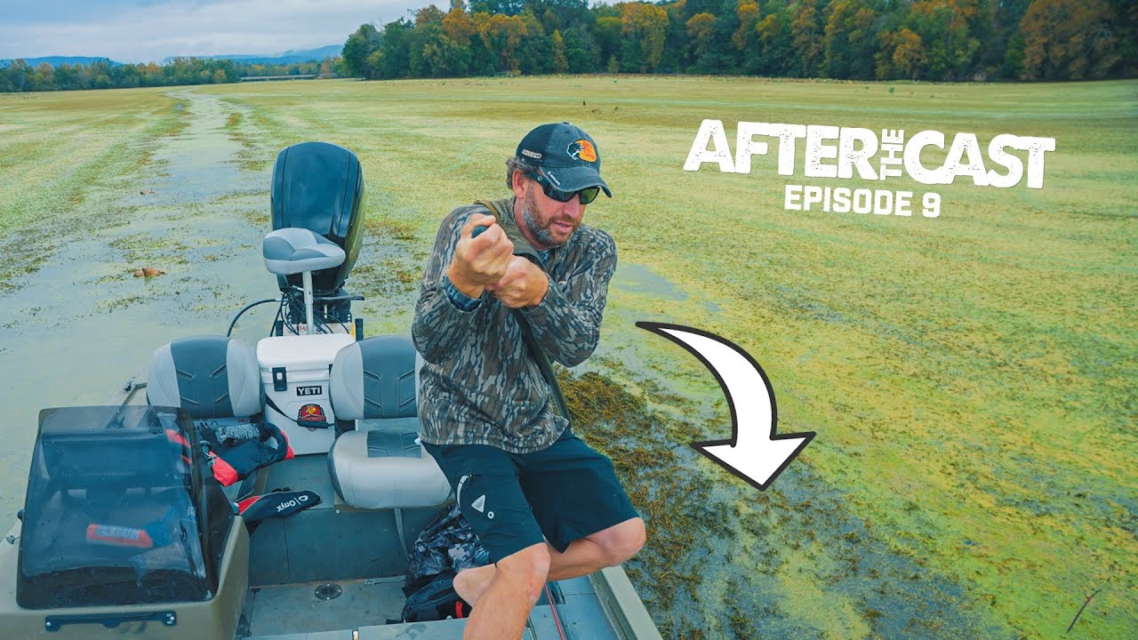 Рискуя всем, ловим рыбу на 1 000 000 долларов!!! - Чемпионат по рыболовству Ultimate Angler
