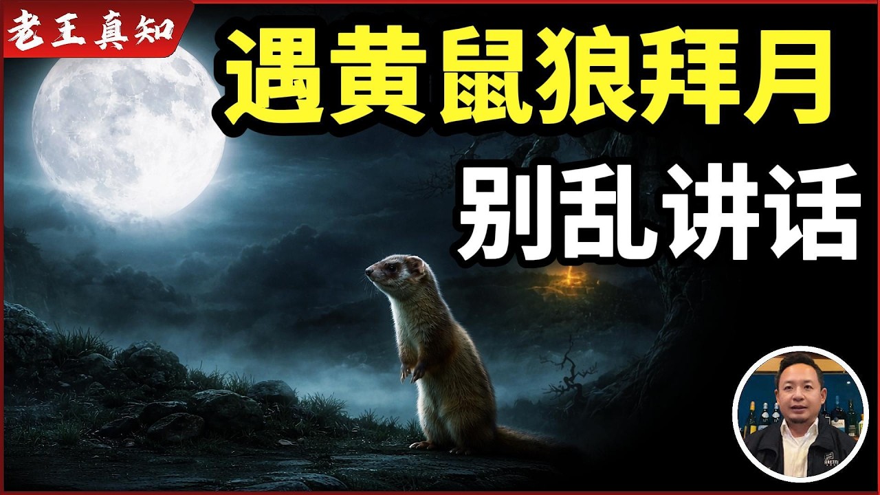 老王来了：深夜撞见黄鼠狼拜月｜千万别乱说话，否则真会出事｜