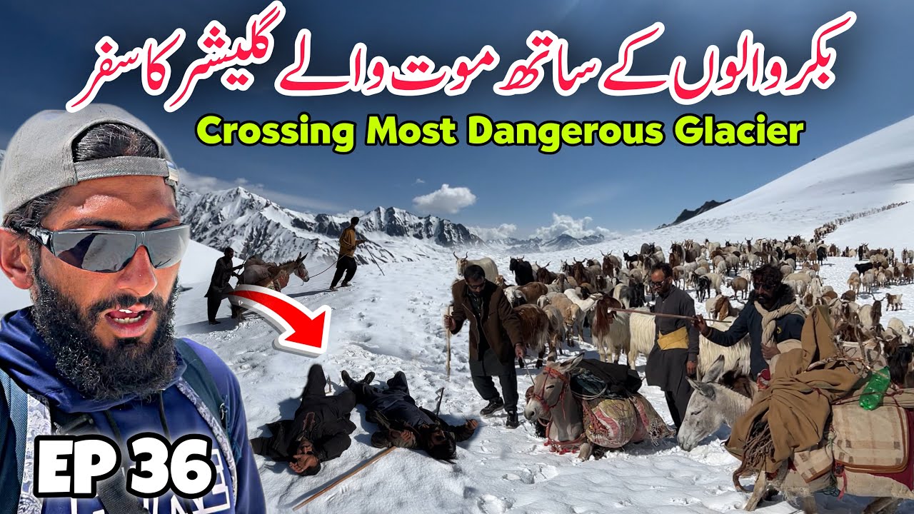 😨 Crossing Most Dangerous Glacier Shounter | Travelling With Bakarwal in Kashmir Episode 36