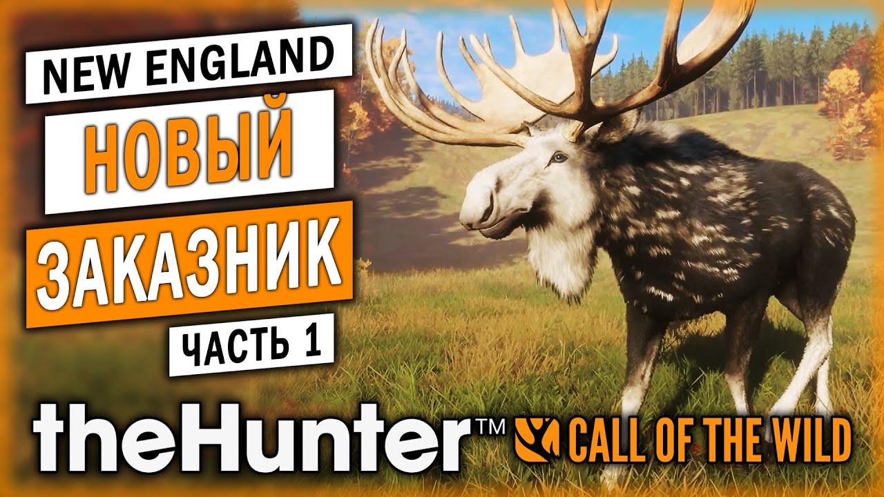 НОВЫЙ ЗАКАЗНИК! НОВОЕ ОРУЖИЕ И СКИНЫ! НОВЫЕ ЛОСИ И ОЛЕНИ! | theHunter Call of the Wild 🦊 | Часть #1