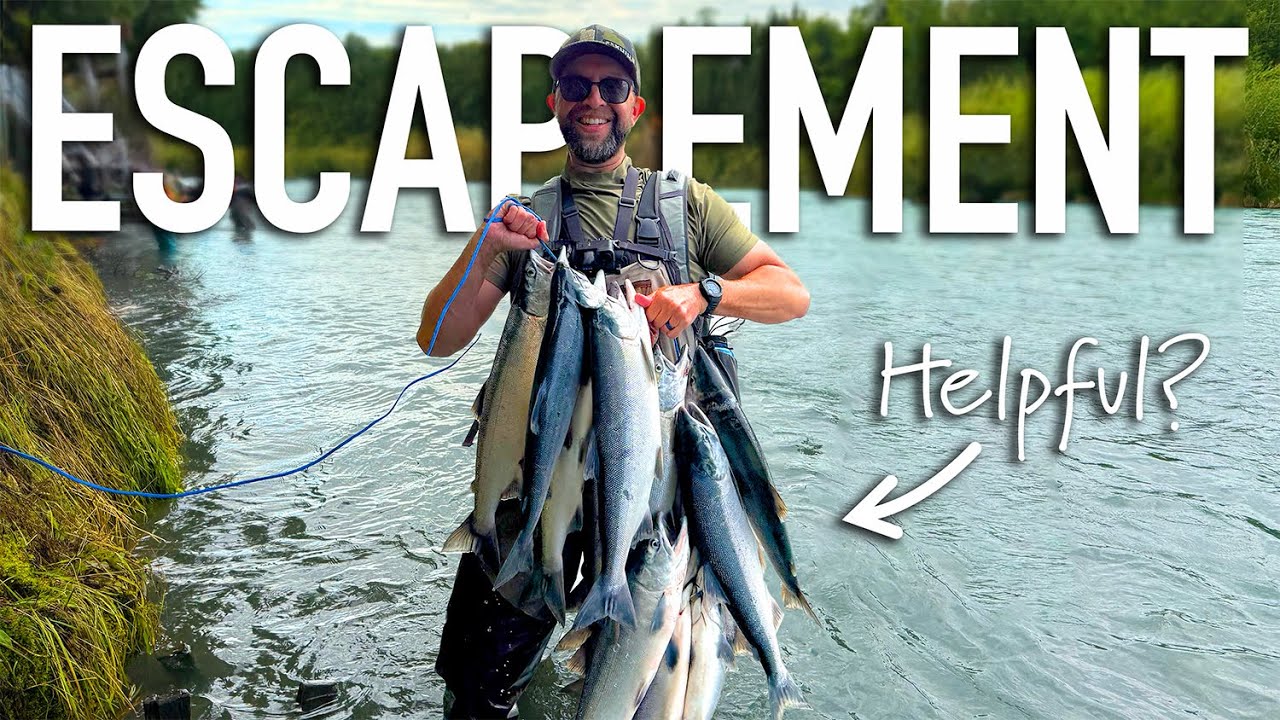 The Surprising Reason Alaska Wants Us to Catch More Fish