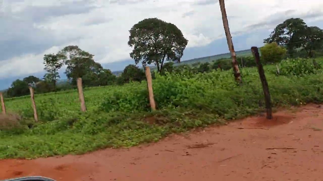 Sítio a venda 4 alqueires município de União de Minas Mg 350 mil pega troca19 hectares (34)997895318