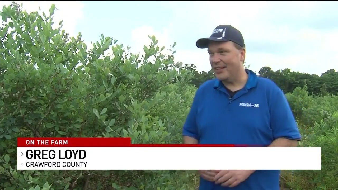 WGXA 