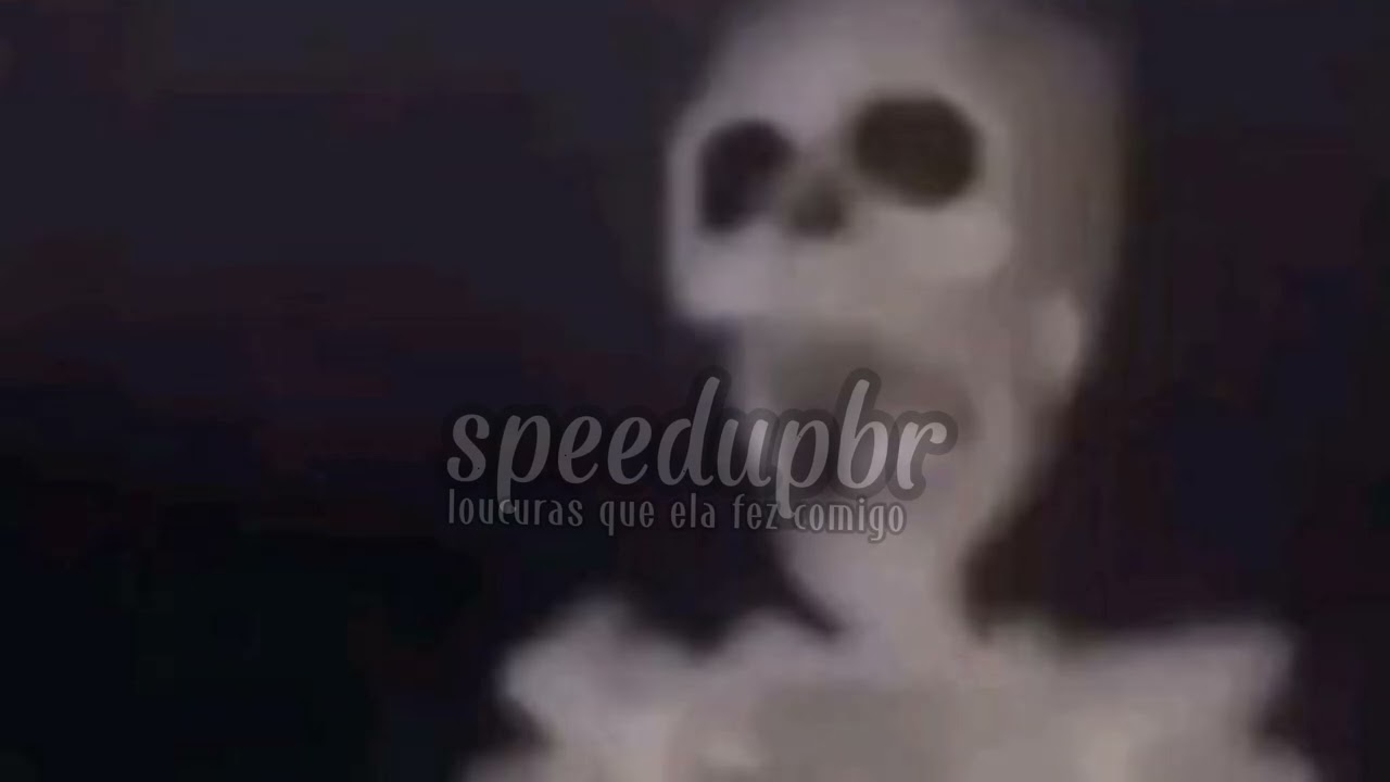 loucuras que ela fez comigo - speed up