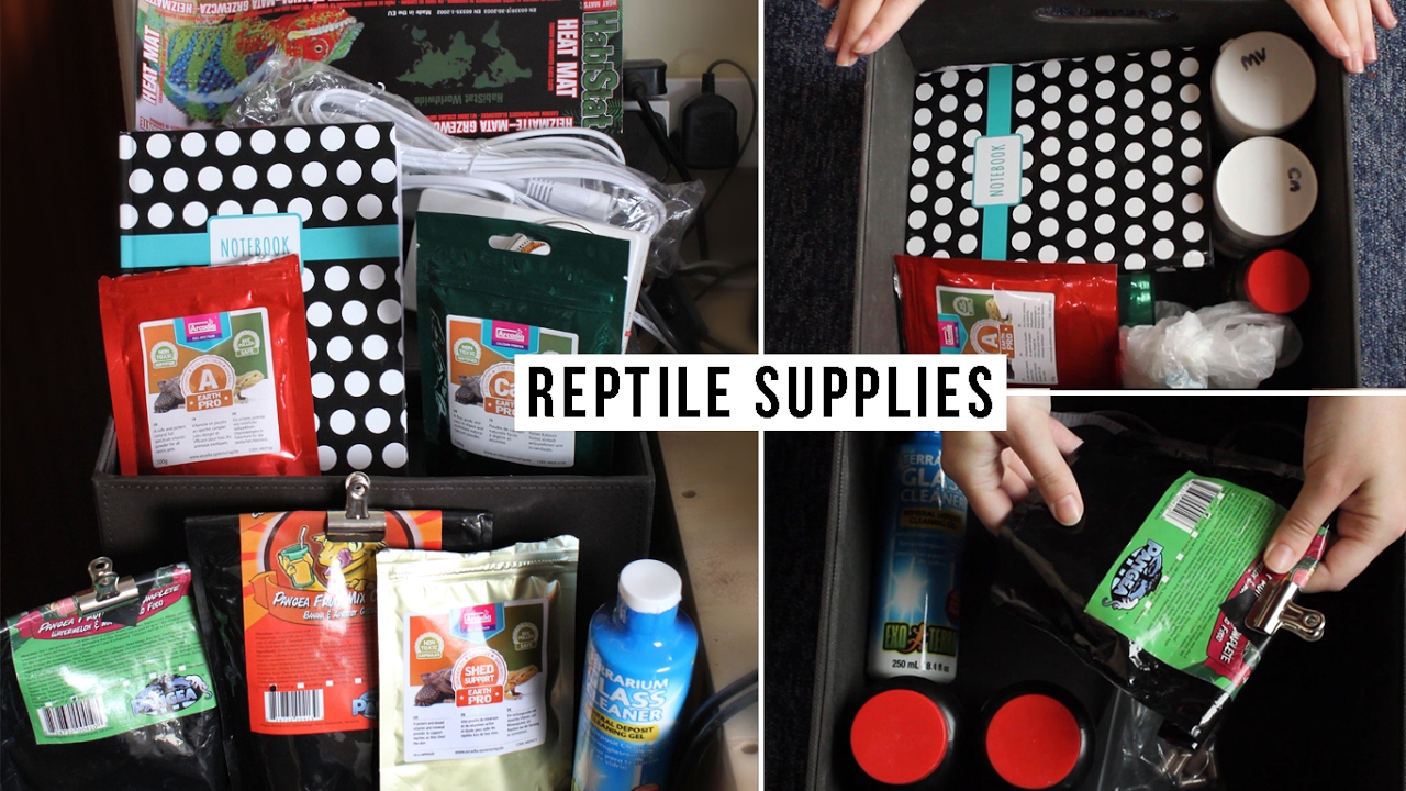 Reptile Supplies For 6 Lizards!