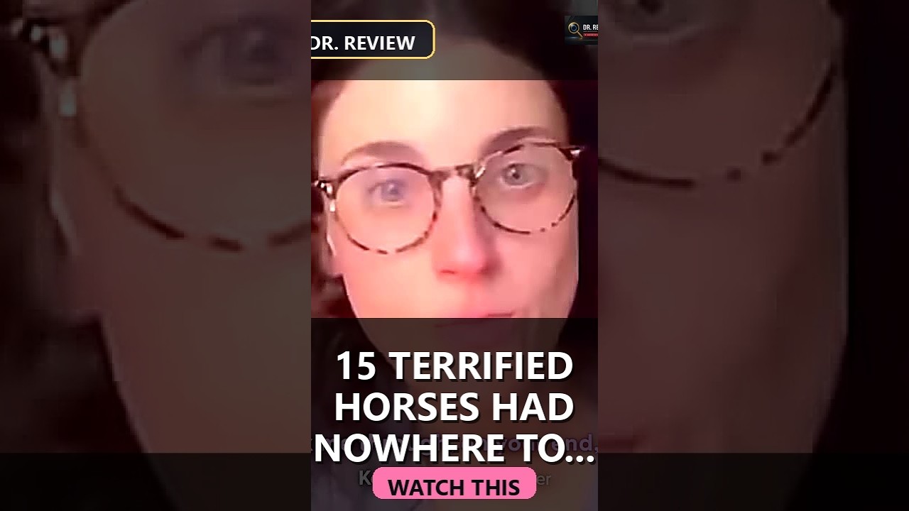 15 Terrified Horses Had Nowhere To Go &mdash; Then Their Heroes Walked Into The Flood