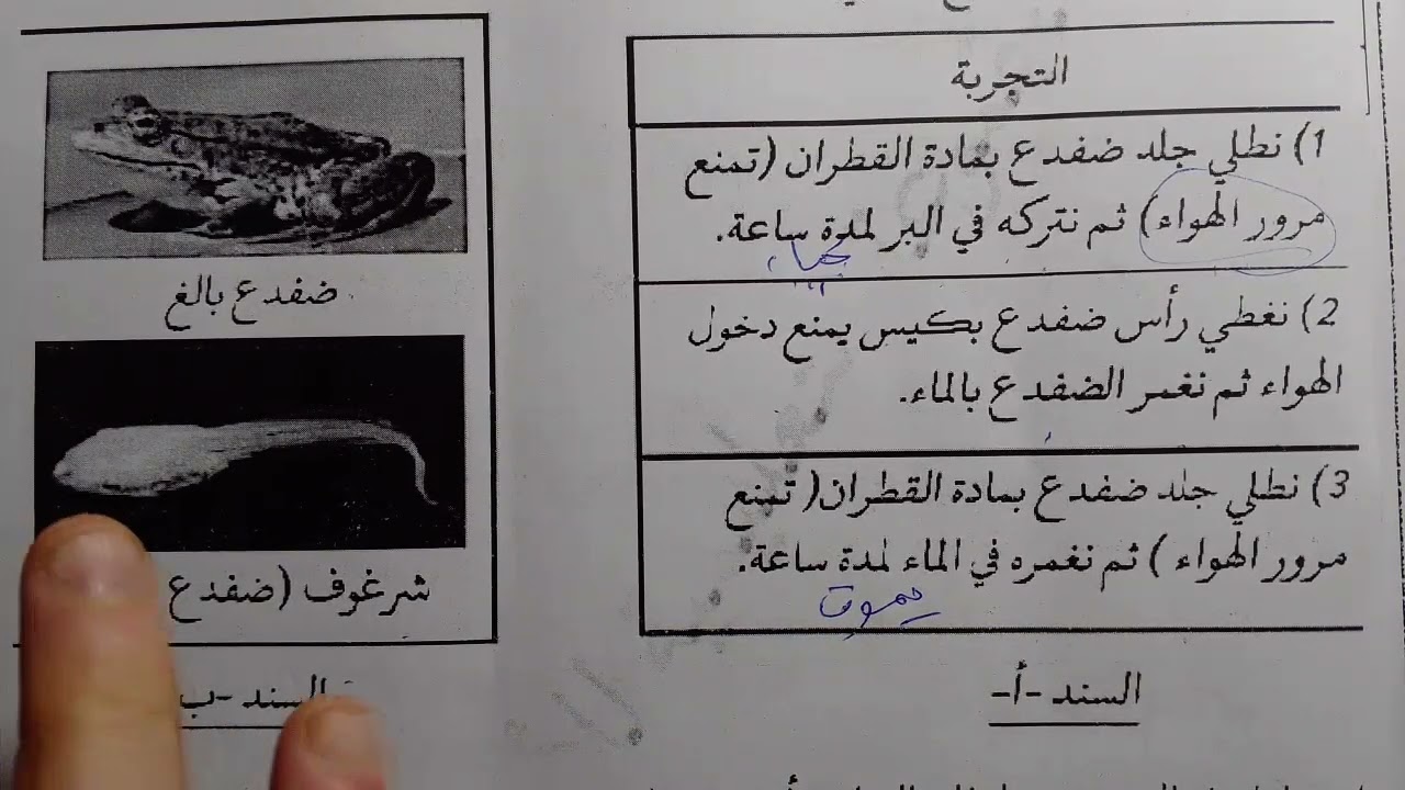 اختبار الفصل الثاني في مادة العلوم الطبيعية للسنة الثانية متوسط #2026 