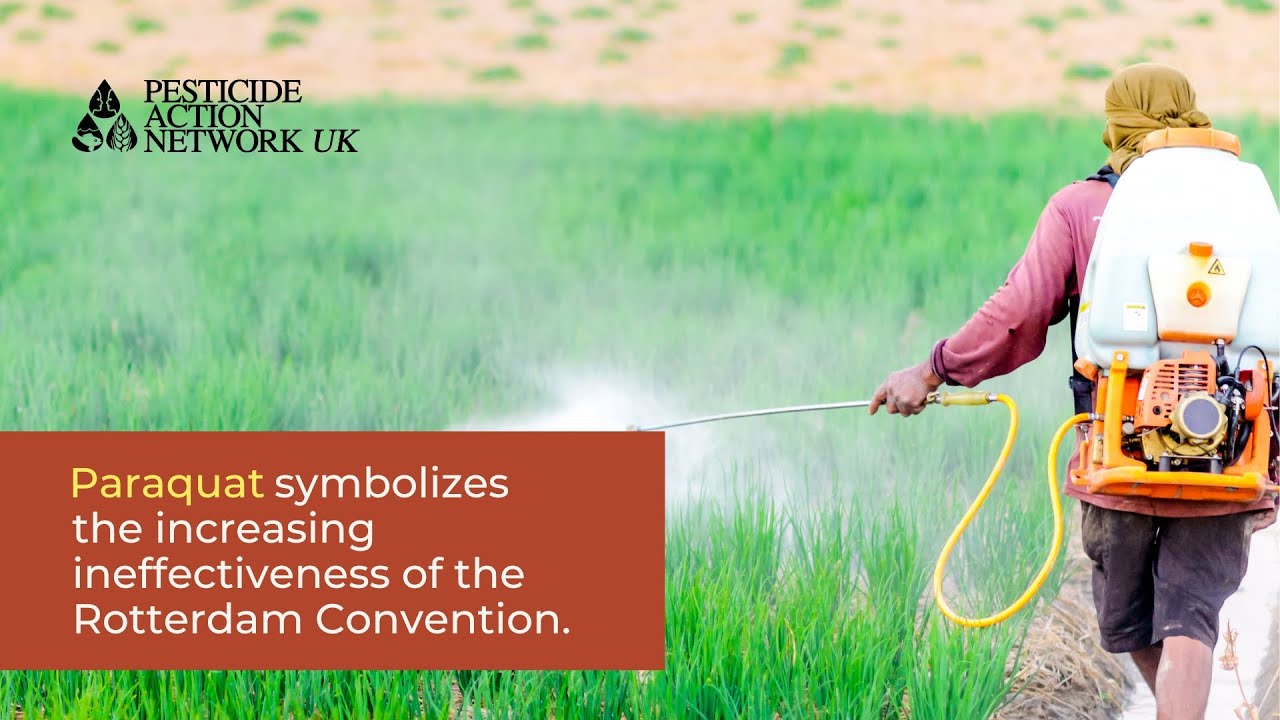 List paraquat on Annex III of the Rotterdam Convention