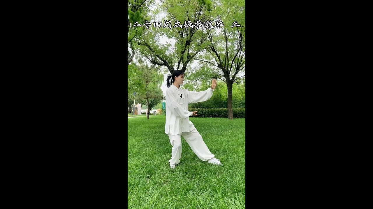 二十四式太极拳教学三，揽雀尾和单鞭，尤其是揽雀尾，太极的奥妙尽在其中啦，很吃功夫的！