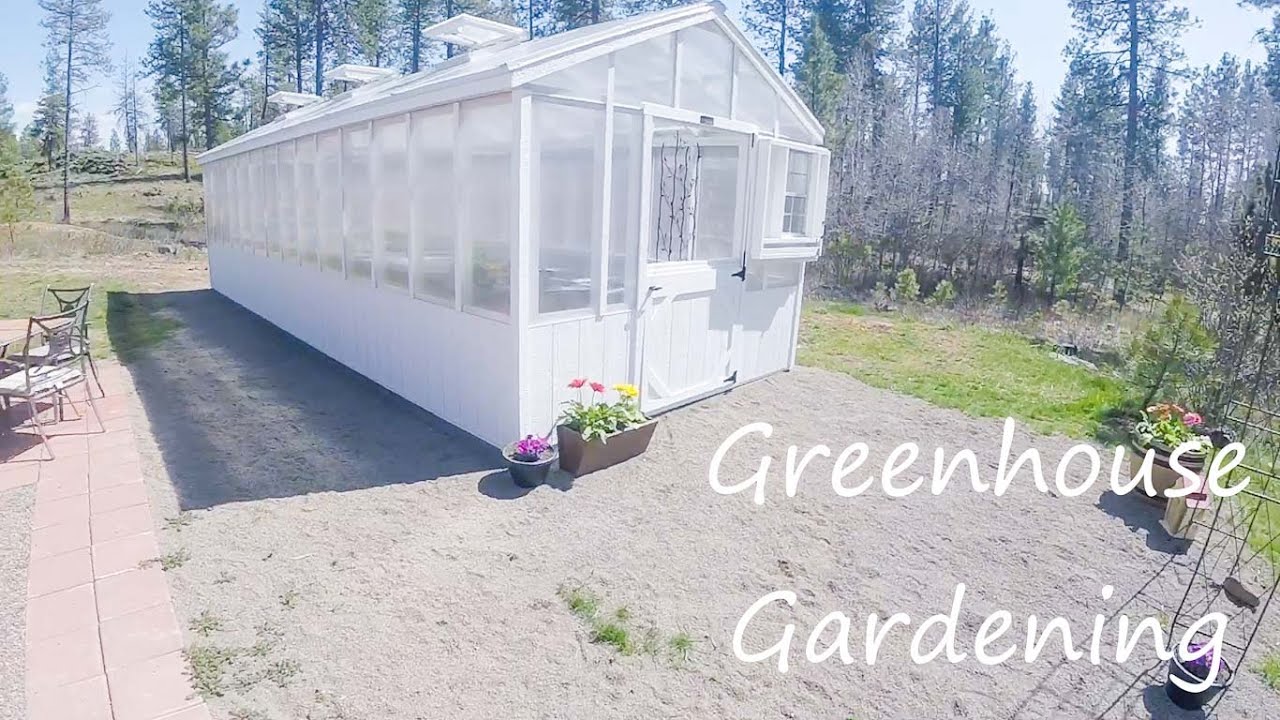 Life On Our Homestead In Eastern Washington