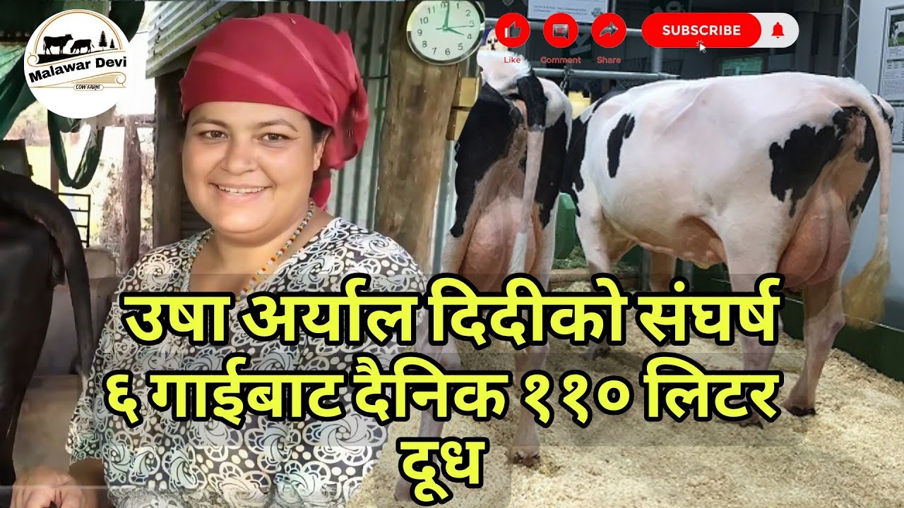 उषा अर्याल दिदीको सङ्घर्षको कथा 