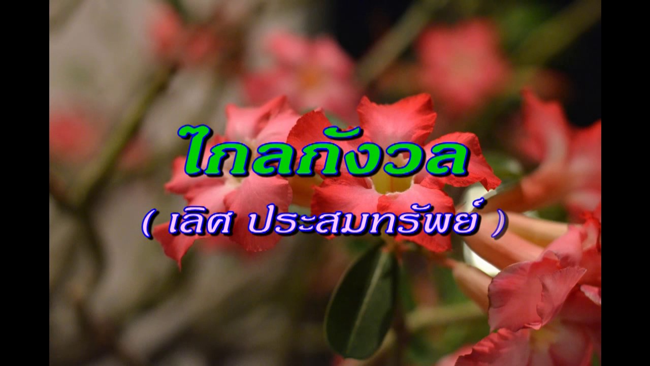 เพลงพระราชนิพนธ์ (สุนทราภรณ์) - 11 ไกลกังวล (เลิศ ประสมทรัพย์)