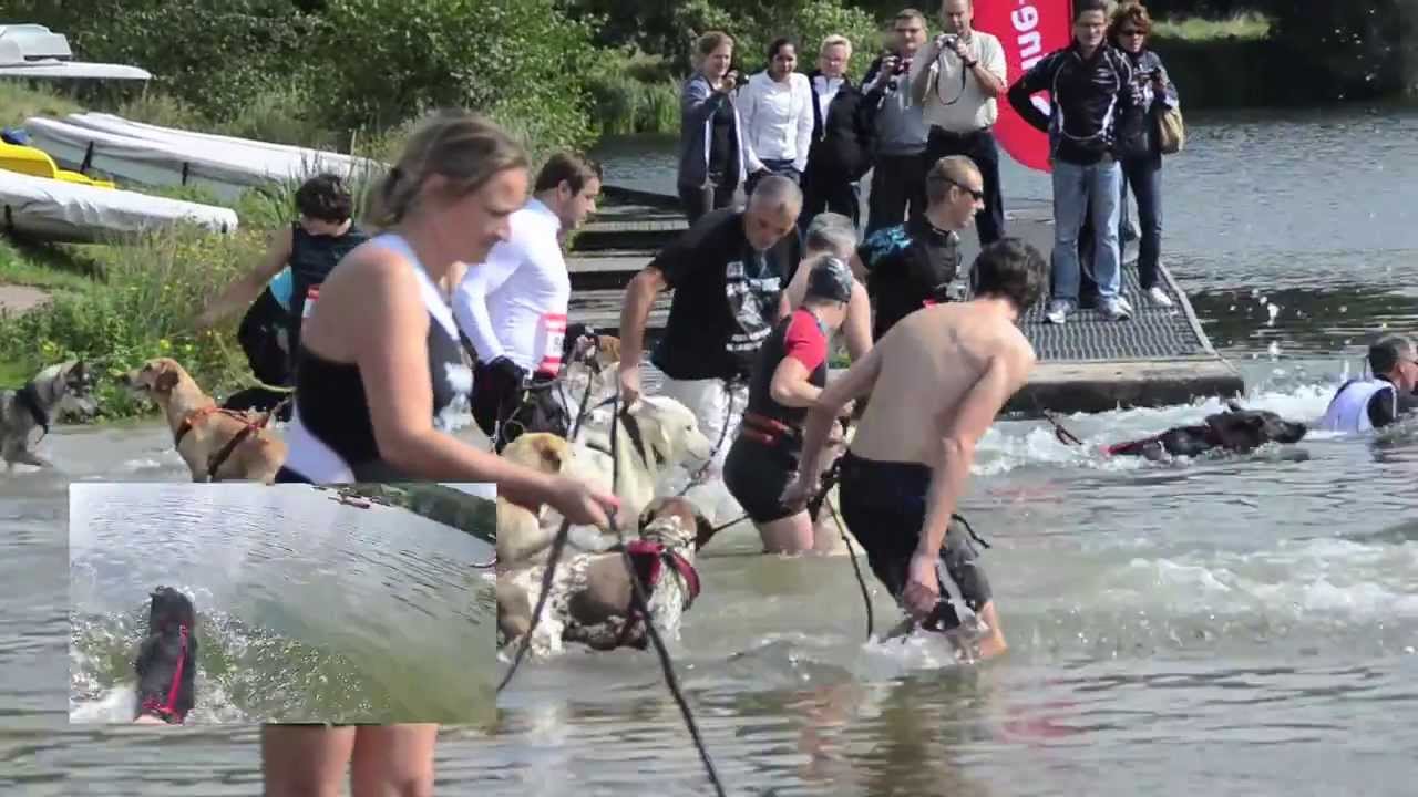 CaniTriathlon