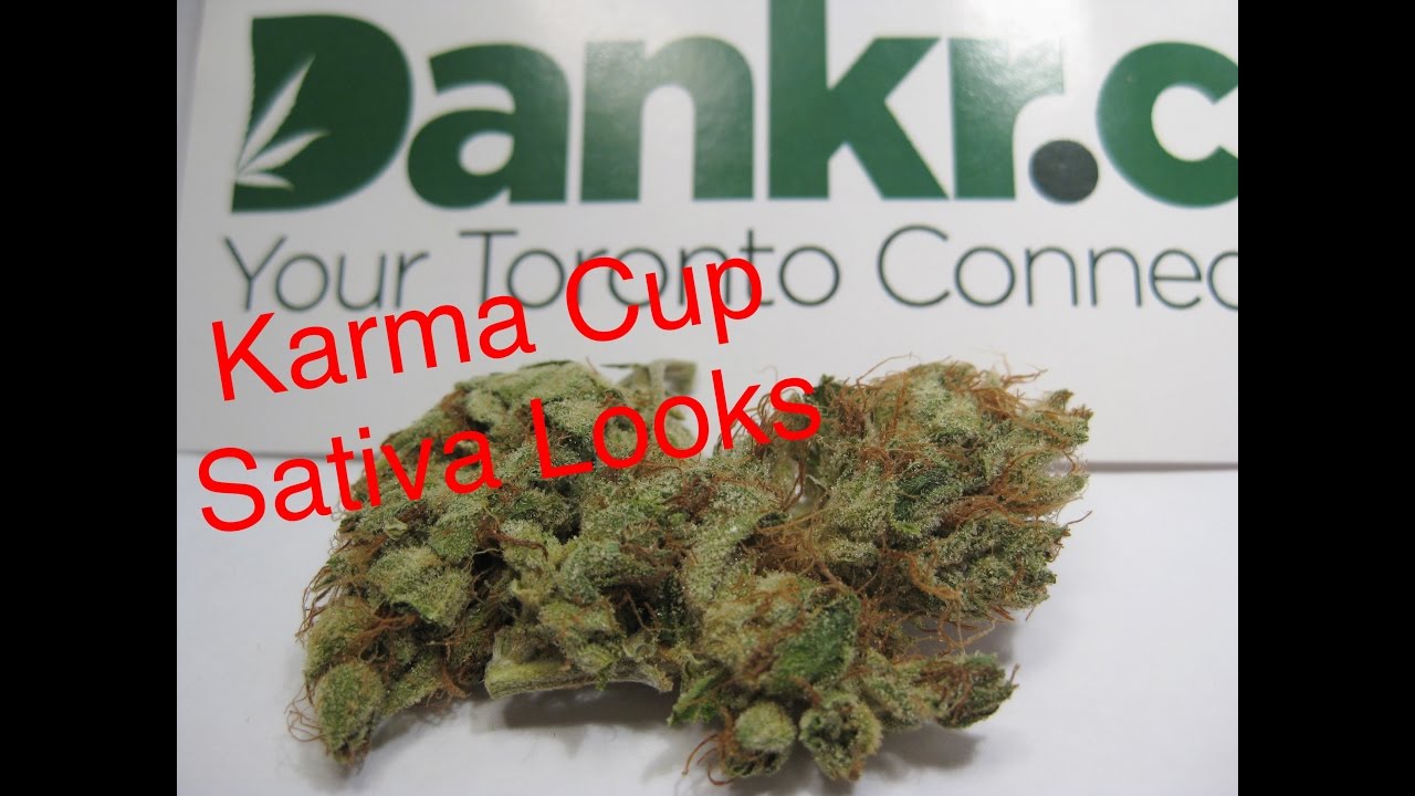 Bud Sativa Visual Test Karma Cup 2016