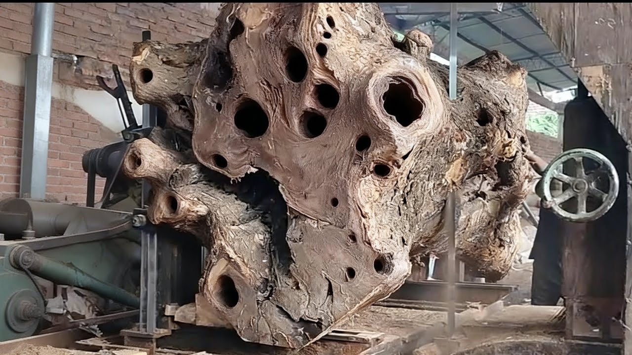 High creativity!! Processing large discarded wooden stumps