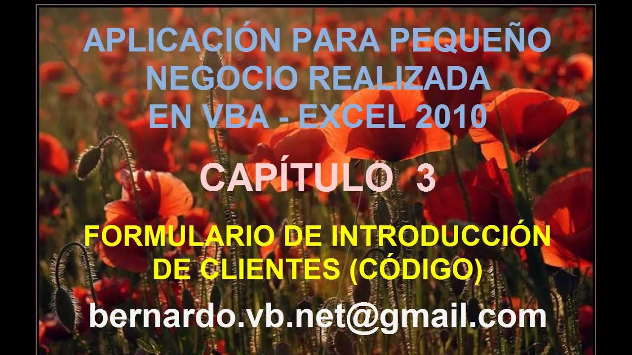 Aplicacion negocio VBA Excel 2010 y posteriores - Capitulo 3 - Introducción de clientes